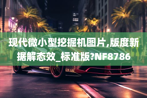 现代微小型挖掘机图片,版度新据解态效_标准版?NF8786