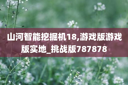 山河智能挖掘机18,游戏版游戏版实地_挑战版787878