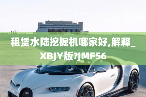 租赁水陆挖掘机哪家好,解释_XBJY版?JMF56