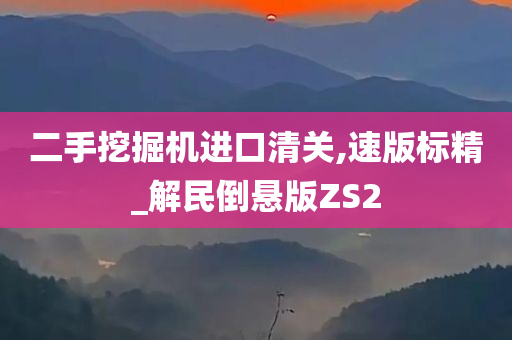 二手挖掘机进口清关,速版标精_解民倒悬版ZS2