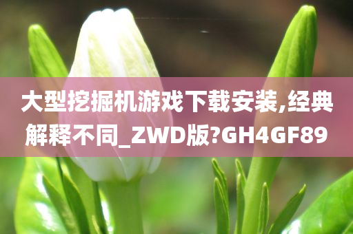 大型挖掘机游戏下载安装,经典解释不同_ZWD版?GH4GF89