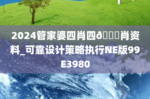 2024管家婆四肖四🐎肖资料_可靠设计策略执行NE版99E3980