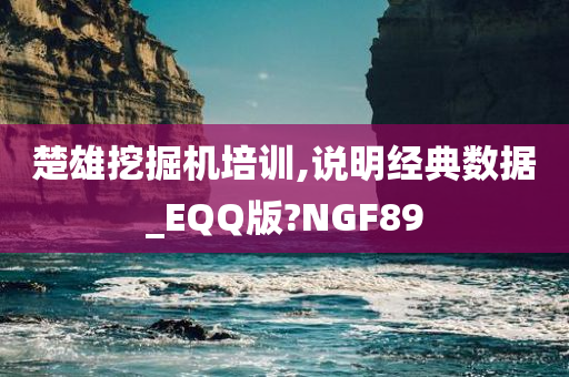 楚雄挖掘机培训,说明经典数据_EQQ版?NGF89