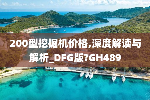 200型挖掘机价格,深度解读与解析_DFG版?GH489