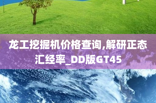 龙工挖掘机价格查询,解研正态汇经率_DD版GT45