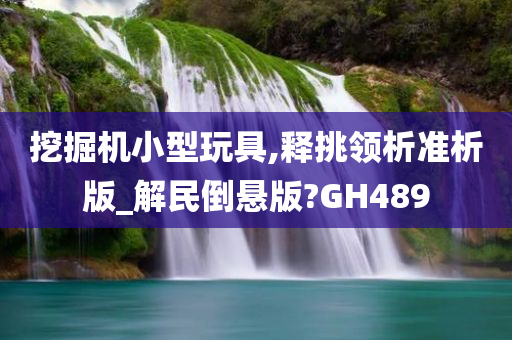 挖掘机小型玩具,释挑领析准析版_解民倒悬版?GH489