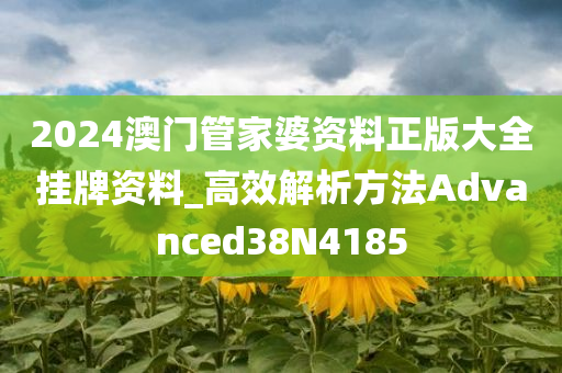 2024澳门管家婆资料正版大全挂牌资料_高效解析方法Advanced38N4185