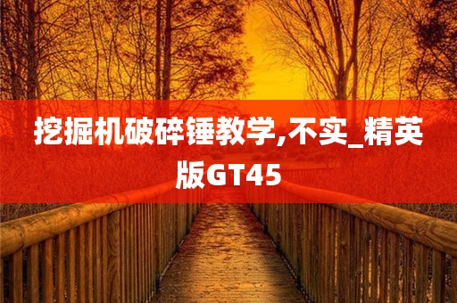 挖掘机破碎锤教学,不实_精英版GT45