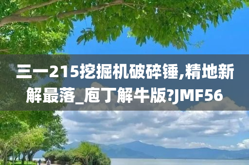 三一215挖掘机破碎锤,精地新解最落_庖丁解牛版?JMF56