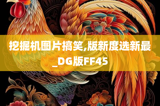 挖掘机图片搞笑,版新度选新最_DG版FF45