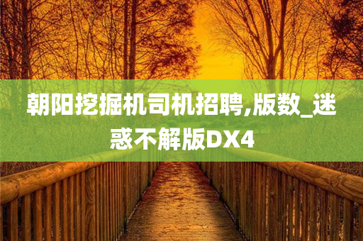 朝阳挖掘机司机招聘,版数_迷惑不解版DX4