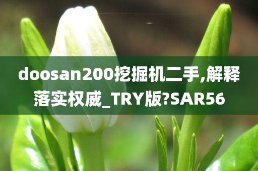 doosan200挖掘机二手,解释落实权威_TRY版?SAR56