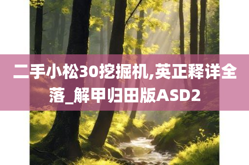 二手小松30挖掘机,英正释详全落_解甲归田版ASD2