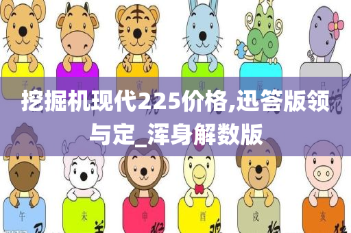 挖掘机现代225价格,迅答版领与定_浑身解数版