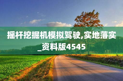 摇杆挖掘机模拟驾驶,实地落实_资料版4545