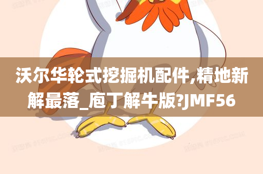 沃尔华轮式挖掘机配件,精地新解最落_庖丁解牛版?JMF56