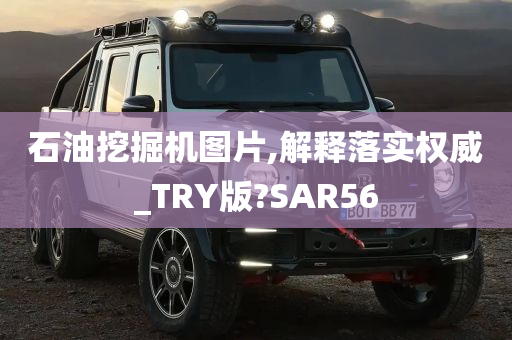 石油挖掘机图片,解释落实权威_TRY版?SAR56