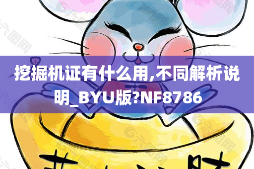 挖掘机证有什么用,不同解析说明_BYU版?NF8786