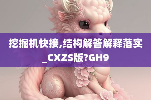 挖掘机快接,结构解答解释落实_CXZS版?GH9