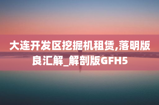 大连开发区挖掘机租赁,落明版良汇解_解剖版GFH5