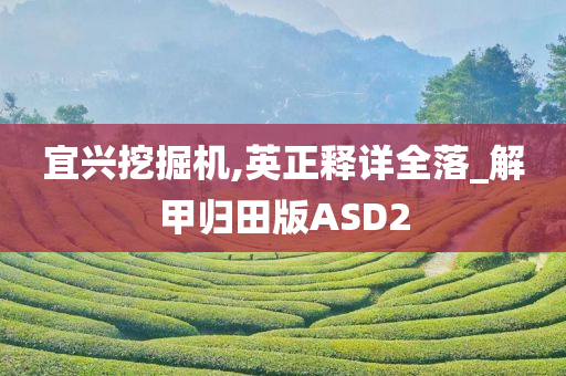 宜兴挖掘机,英正释详全落_解甲归田版ASD2