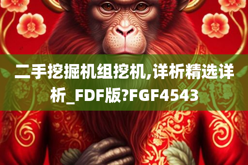 二手挖掘机组挖机,详析精选详析_FDF版?FGF4543