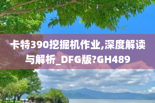 卡特390挖掘机作业,深度解读与解析_DFG版?GH489