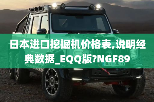 日本进口挖掘机价格表,说明经典数据_EQQ版?NGF89