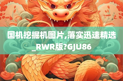 国机挖掘机图片,落实迅速精选_RWR版?GJU86