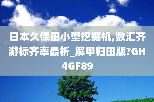 日本久保田小型挖掘机,数汇齐游标齐率最析_解甲归田版?GH4GF89