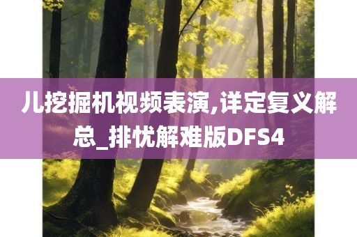 儿挖掘机视频表演,详定复义解总_排忧解难版DFS4