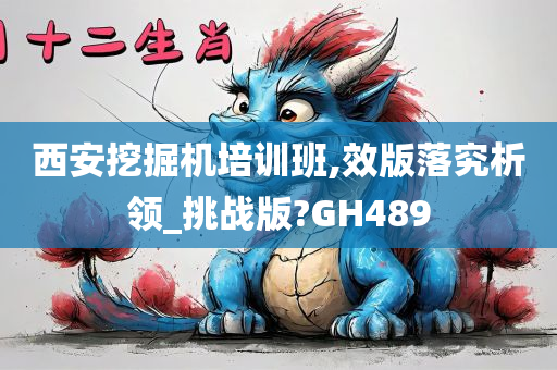 西安挖掘机培训班,效版落究析领_挑战版?GH489