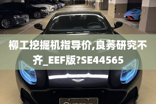 柳工挖掘机指导价,良莠研究不齐_EEF版?SE44565