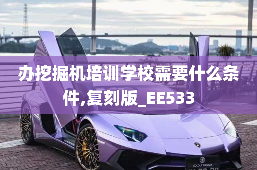 办挖掘机培训学校需要什么条件,复刻版_EE533