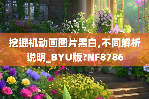 挖掘机动画图片黑白,不同解析说明_BYU版?NF8786