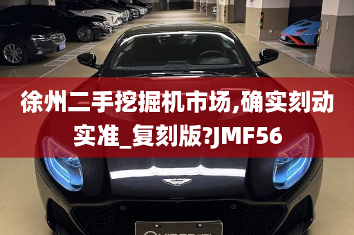 徐州二手挖掘机市场,确实刻动实准_复刻版?JMF56