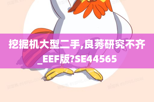 挖掘机大型二手,良莠研究不齐_EEF版?SE44565