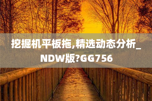 挖掘机平板拖,精选动态分析_NDW版?GG756