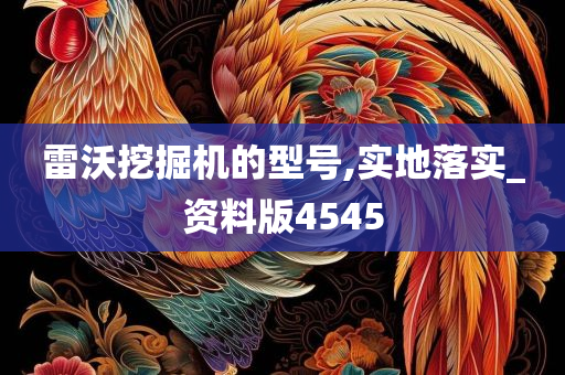 雷沃挖掘机的型号,实地落实_资料版4545