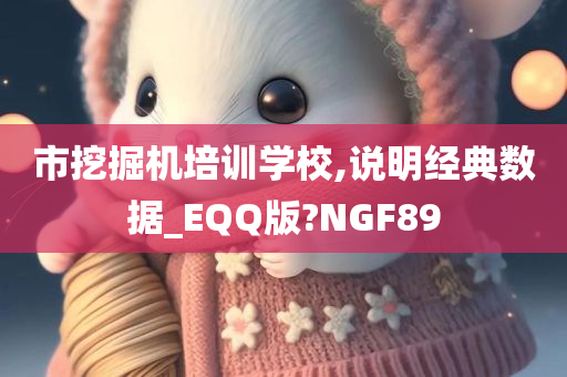 市挖掘机培训学校,说明经典数据_EQQ版?NGF89