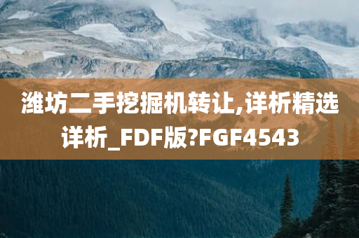 潍坊二手挖掘机转让,详析精选详析_FDF版?FGF4543