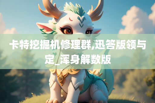 卡特挖掘机修理群,迅答版领与定_浑身解数版