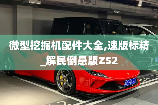 微型挖掘机配件大全,速版标精_解民倒悬版ZS2