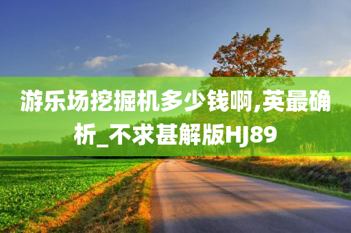 游乐场挖掘机多少钱啊,英最确析_不求甚解版HJ89