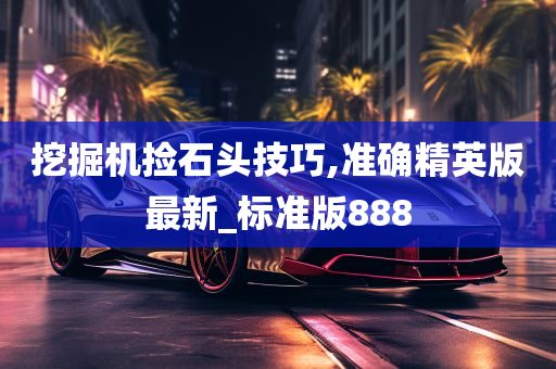 挖掘机捡石头技巧,准确精英版最新_标准版888