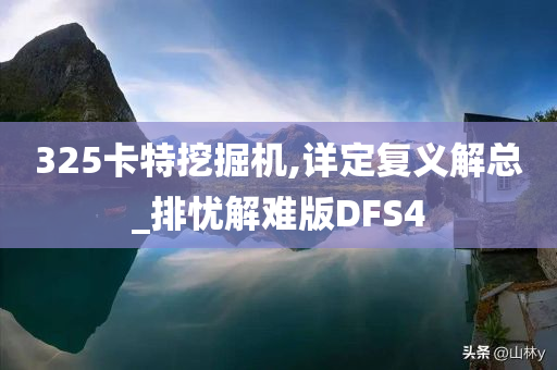 325卡特挖掘机,详定复义解总_排忧解难版DFS4