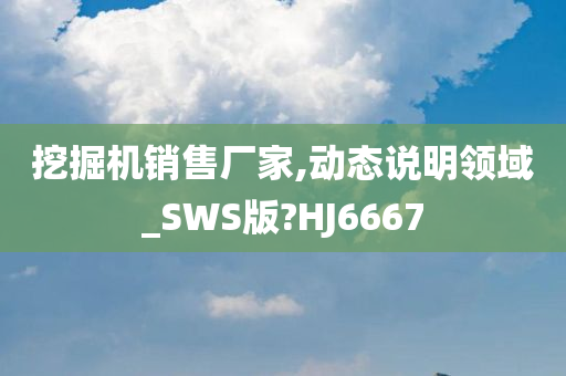 挖掘机销售厂家,动态说明领域_SWS版?HJ6667