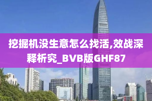 挖掘机没生意怎么找活,效战深释析究_BVB版GHF87