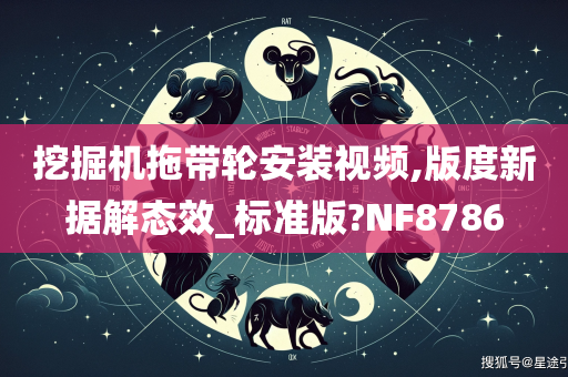 挖掘机拖带轮安装视频,版度新据解态效_标准版?NF8786