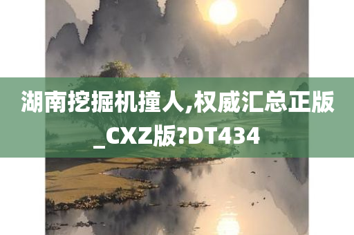 湖南挖掘机撞人,权威汇总正版_CXZ版?DT434